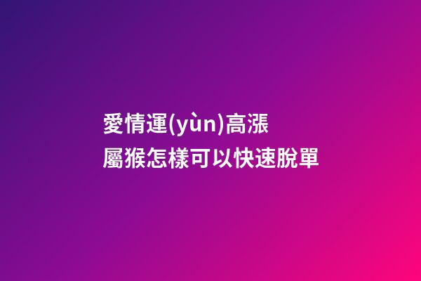 愛情運(yùn)高漲 屬猴怎樣可以快速脫單